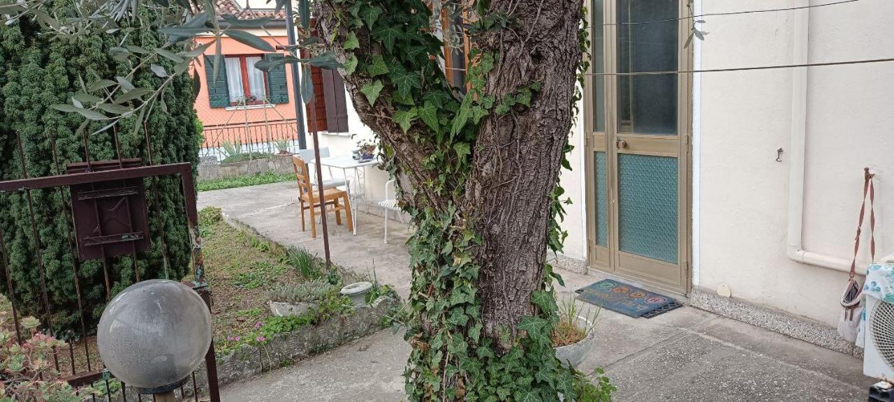Veniserelax マルゲーラ エクステリア 写真